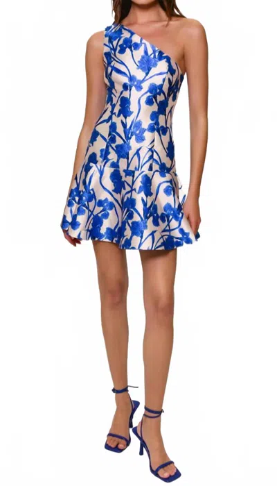 Hutch Silas Dress In Cobalt In Blue