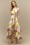 Hutch Trinity Maxi Dress In Multi