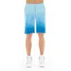 Hvman Sweatshorts In Sky