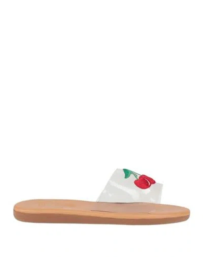 Hvn X Ancient Greek Sandals Woman Sandals Transparent Size 8 Plastic