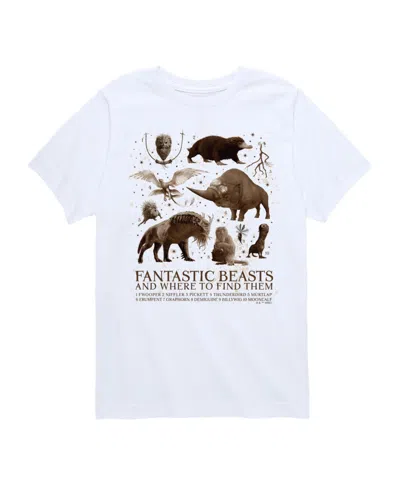 Hybrid Kids' Big Boys Harry Potter Fantastic Beasts Graphic Tee In White
