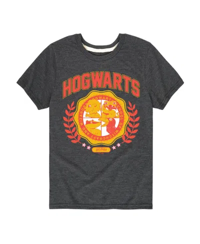 Hybrid Kids' Big Boys Harry Potter Hogwarts Graphic Tee In Grey