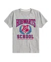 Hybrid Big Boys Harry Potter Hogwarts School Graphic Tee In Grey