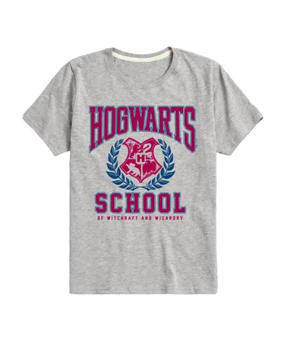 Hybrid Kids' Big Boys Harry Potter Hogwarts School Graphic Tee In Grey