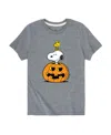 Hybrid Big Boys Peanuts Snoopy Pumpkin Graphic Tee In Grey