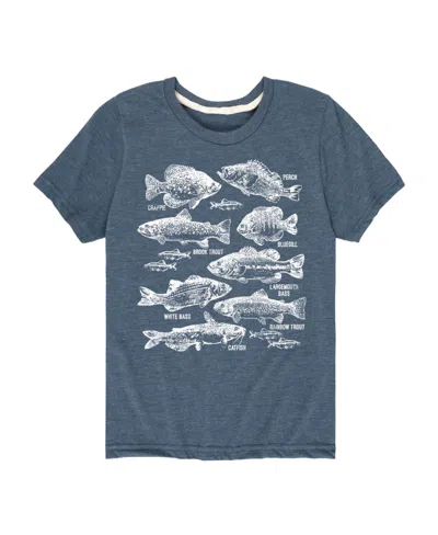 Hybrid Kids' Big Boys Types Of Fish Graphic Tee In Blue