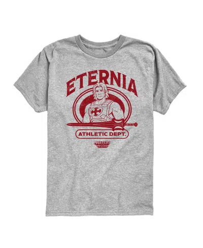 Hybrid Kids' Boys' 8-20 Masters Of The Universe Graphic Short-sleeve T-shirt In Gray