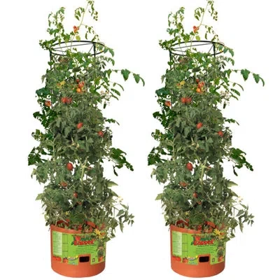 Hydrofarm Gctb Tomato Barrel Pot Garden Planting Trellis Decorative Accessory In Multicolored