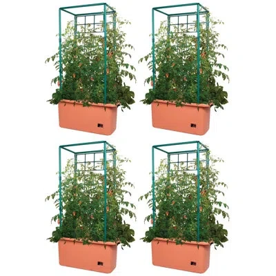 Hydrofarm Tomato Trellis Self Watering Grow System Accessory In Brown,blue