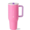 Hydrojug Traveler In Pink