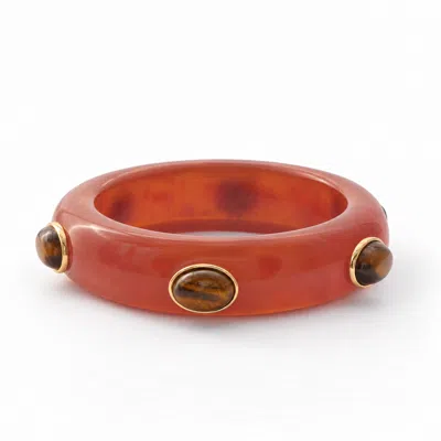 Hye Jane Jewelry Women's Orange / Brown Adler Resin & Semiprecious Gemstone Bangle In Orange/brown