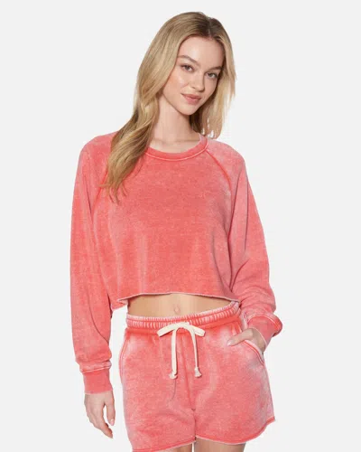 Hyfve Women's Essential Burnout Fleece Crop Crewneck T-shirt In Watermelon