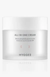 Hyggee All-in-one Cream