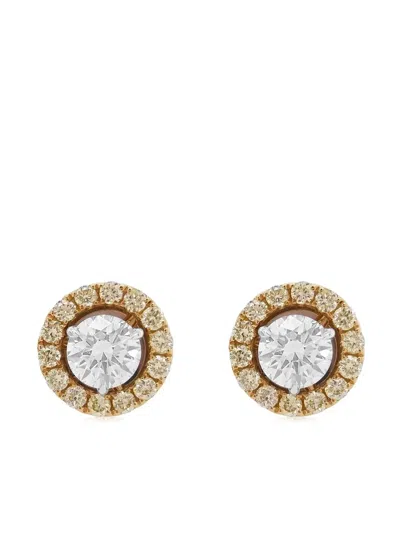 Hyt Jewelry 18kt Gelbgoldohrringe In Gold