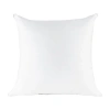 I Am Euro Pillow In White