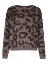 Iblues Leopard-print Sweater In Brown