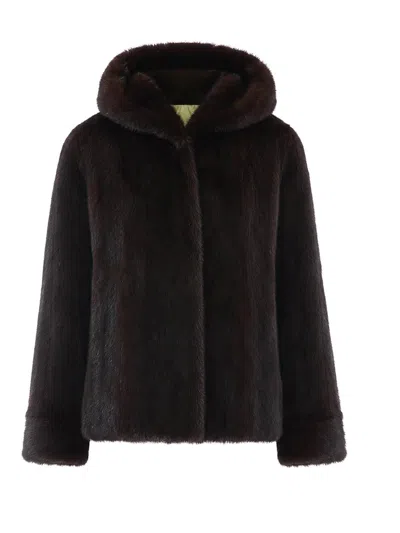 Iacopa Sudadera - Marrón In Brown