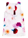 Iame Floral-print Dress In Pink