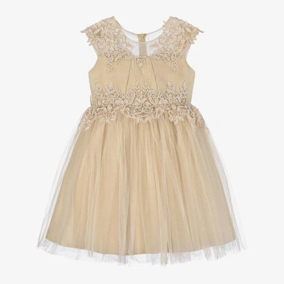 Iame Kids'  Girls Beige Embroidered Tulle Dress