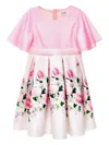 Iame Rose Radiance Dress In Pink