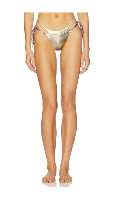 I.am.gia Fiji Bikini Bottom In Brown