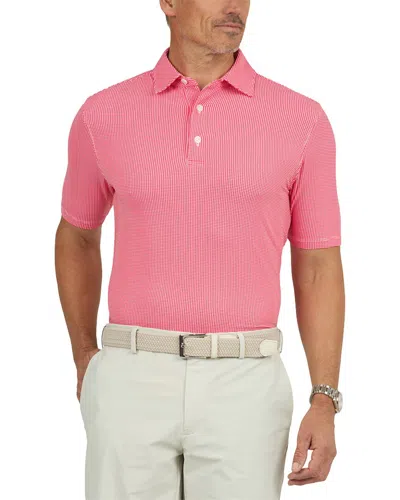 Ibkul Polo Shirt In Pink