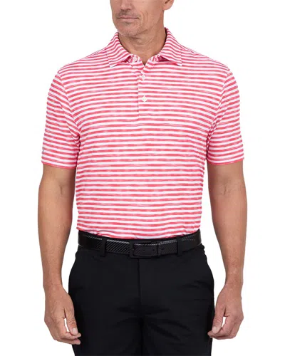 Ibkul Polo Shirt In Pink