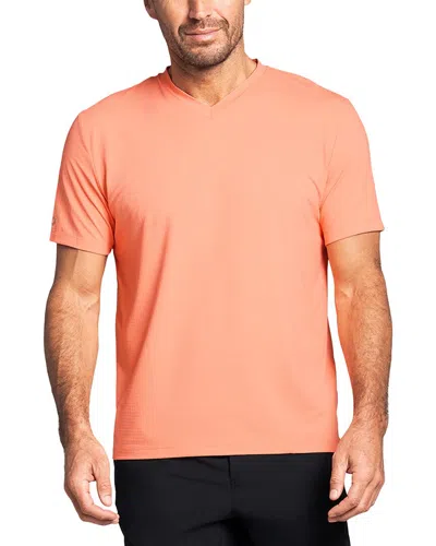Ibkul T-shirt In Orange