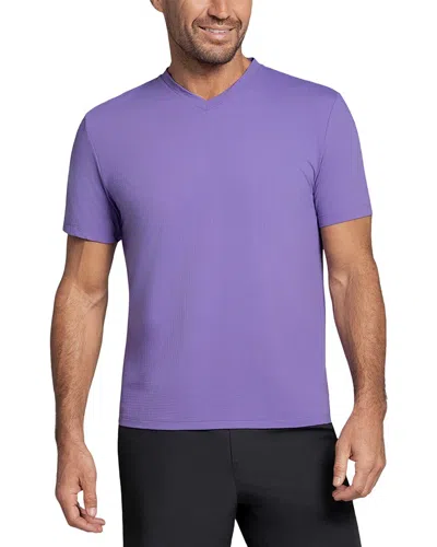 Ibkul T-shirt In Purple