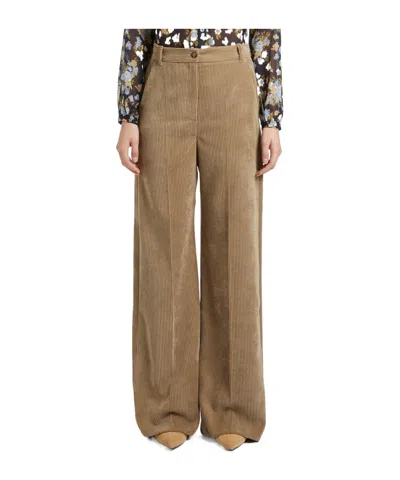 Iblues Belt Loop Casual Pants In Brown