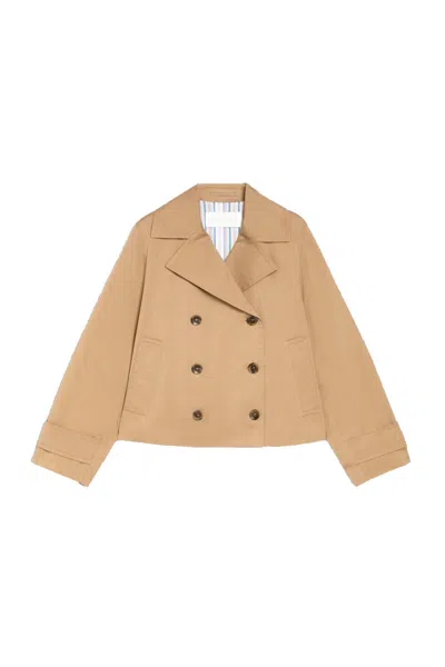 Iblues I Blues Camel In White