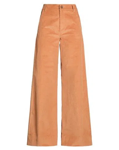 Iblues I Blues Woman Pants Tan Size 2 Cotton, Elastane In Brown