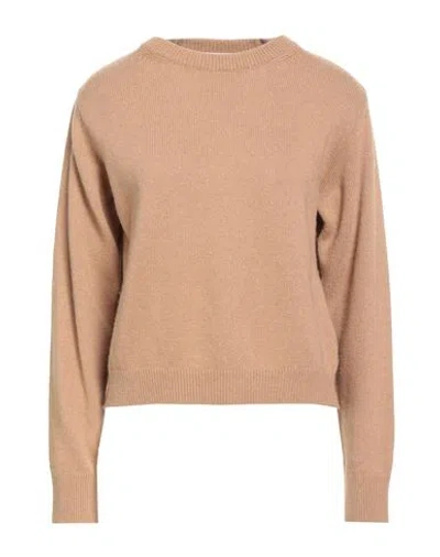 Iblues I Blues Woman Sweater Camel Size L Viscose, Polyamide, Wool, Cashmere In Pink