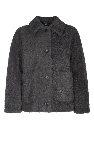 Iblues Pois In Gray