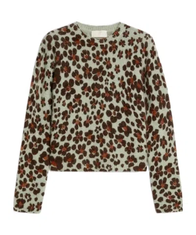 Iblues Printed Knit Top In Multi