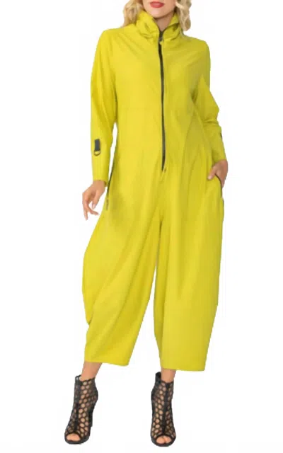 Ic Collection Long Sleeve Jumpsuit With Front Zip In Pear