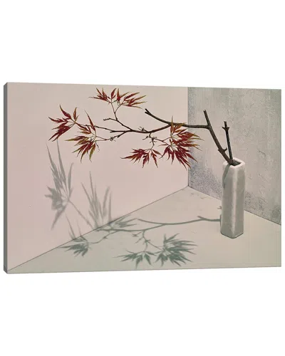 Icanvas Acer By Michael Frank