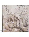 Icanvas Almond Branches In Bloom San Remy, C. Canvas Wall Art