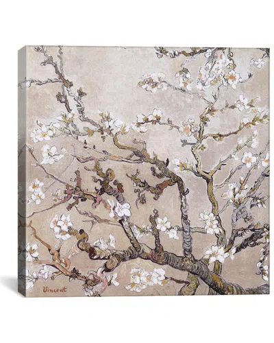 Icanvas Almond Branches In Bloom San Remy, C. Canvas Wall Art