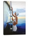 Icanvas An Evening Dip By Johnny Popkess Wall Art