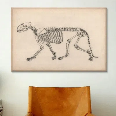 Icanvas Animal Art 'tiger Skeleton Anatomy Drawing' Graphic Art On Canvas In Wrapped Canvas,no Mat