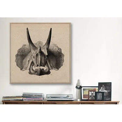 Icanvas 'animal Art Triceratops Skull Anatomy' Graphic Art On Wrapped Canvas In Wrapped Canvas,no Mat
