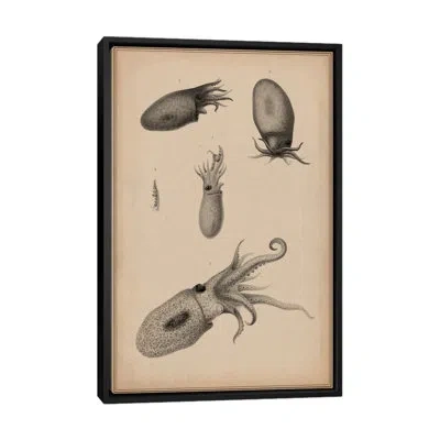 Icanvas Animal Curiosity Octopus Die Cephalopoden Graphic Art On Canvas In Wrapped Canvas,no Mat