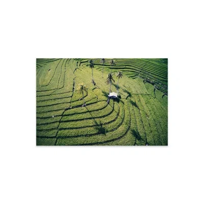 Icanvas At The Rice Paddies, Philippines Print On Acrylic Glass