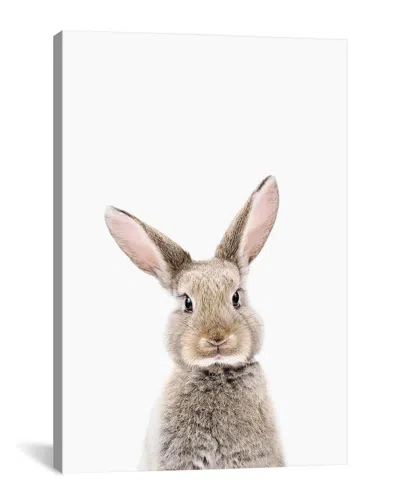 Icanvas Baby Bunny By Sisi & Seb