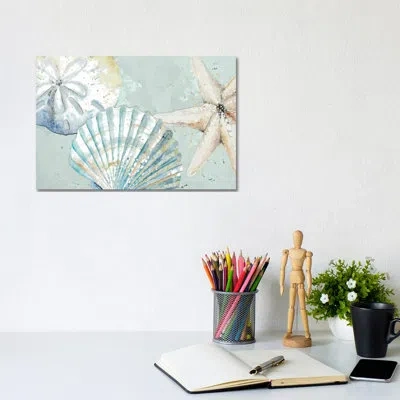 Icanvas Beach Shells- Gallery-wrapped Canvas Giclée In White;silver;viking Blue;turquoise;olivi