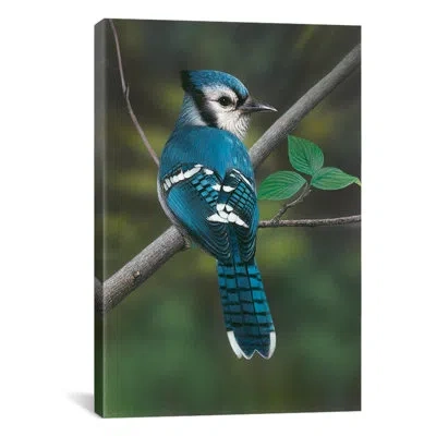 Icanvas Blue Jay