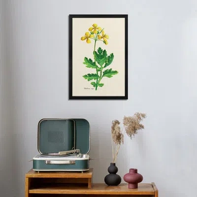 Icanvas Botany Chelidonium Majus - Wall Art Print - Gallery Poster In Olivine;turquoise