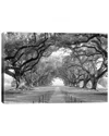 Icanvas Brick Path Through Alley Of Oak Trees, Louisiana, New Orleans, Usa (black And White) I By Panoramic