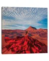 Icanvas Bud Of The Desert By Hobopeeba Wall Art